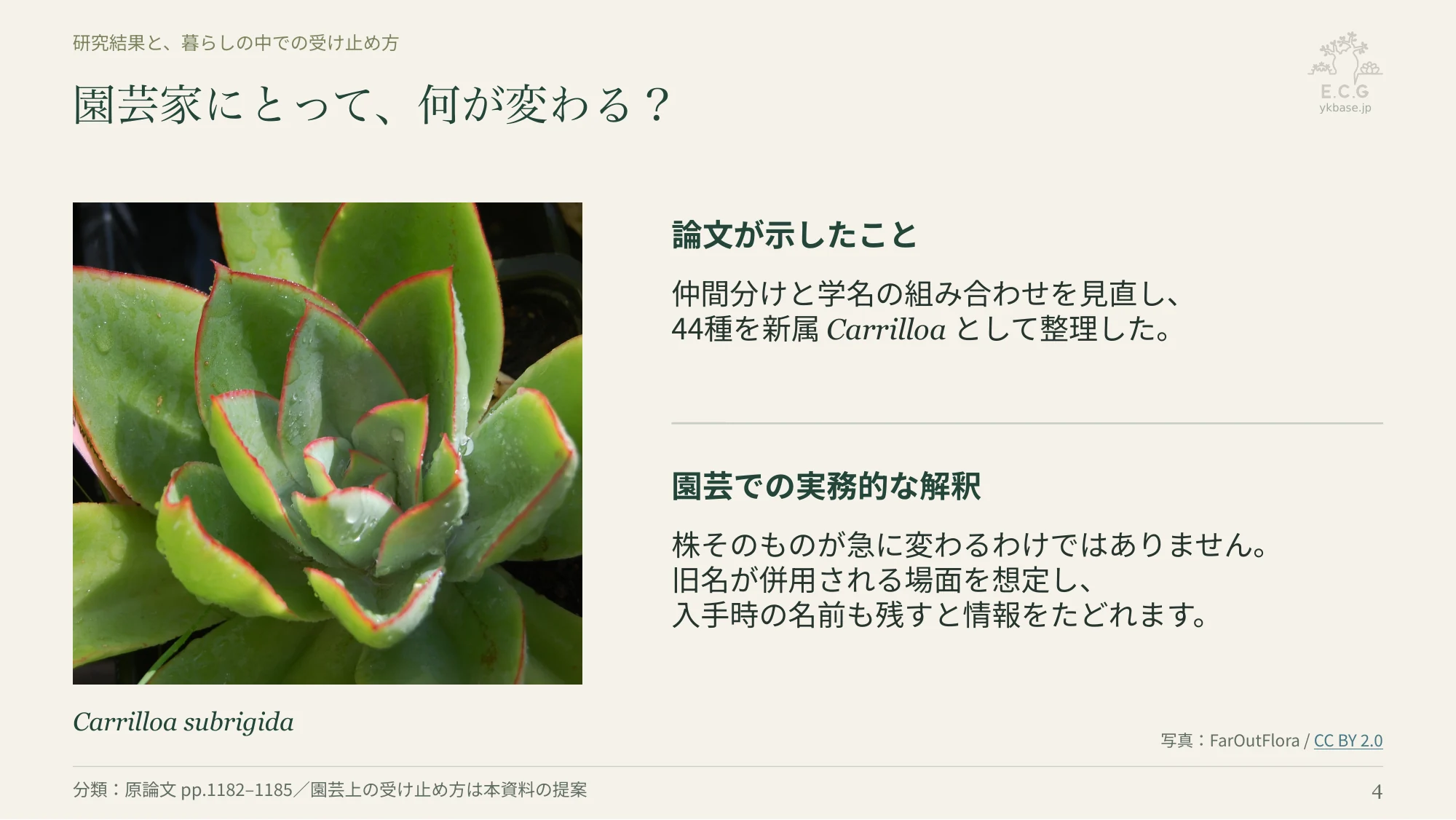 4ページ:園芸家にとって、何が変わる?(日本語)
