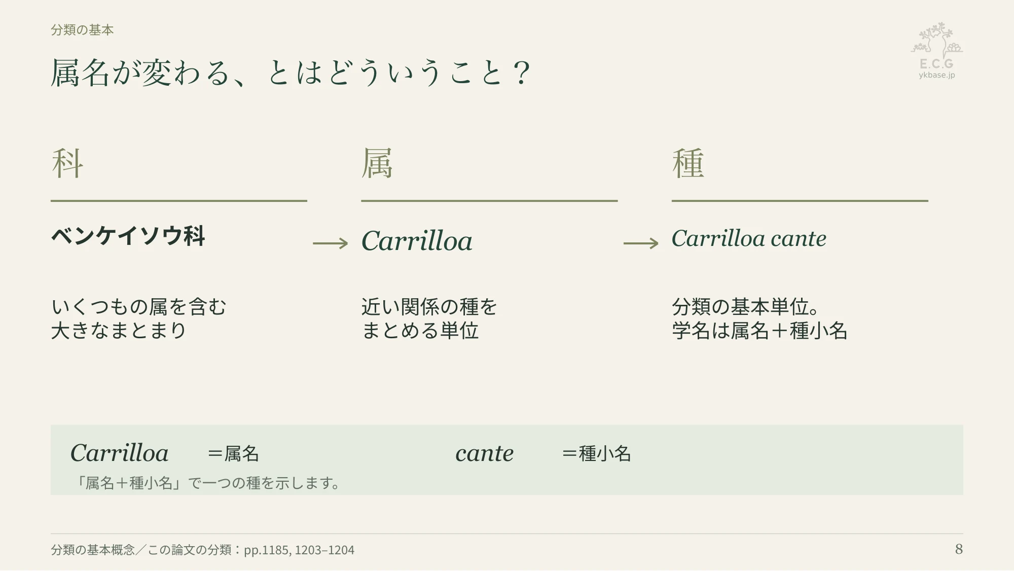 8ページ:属名が変わる、とはどういうこと?(日本語)