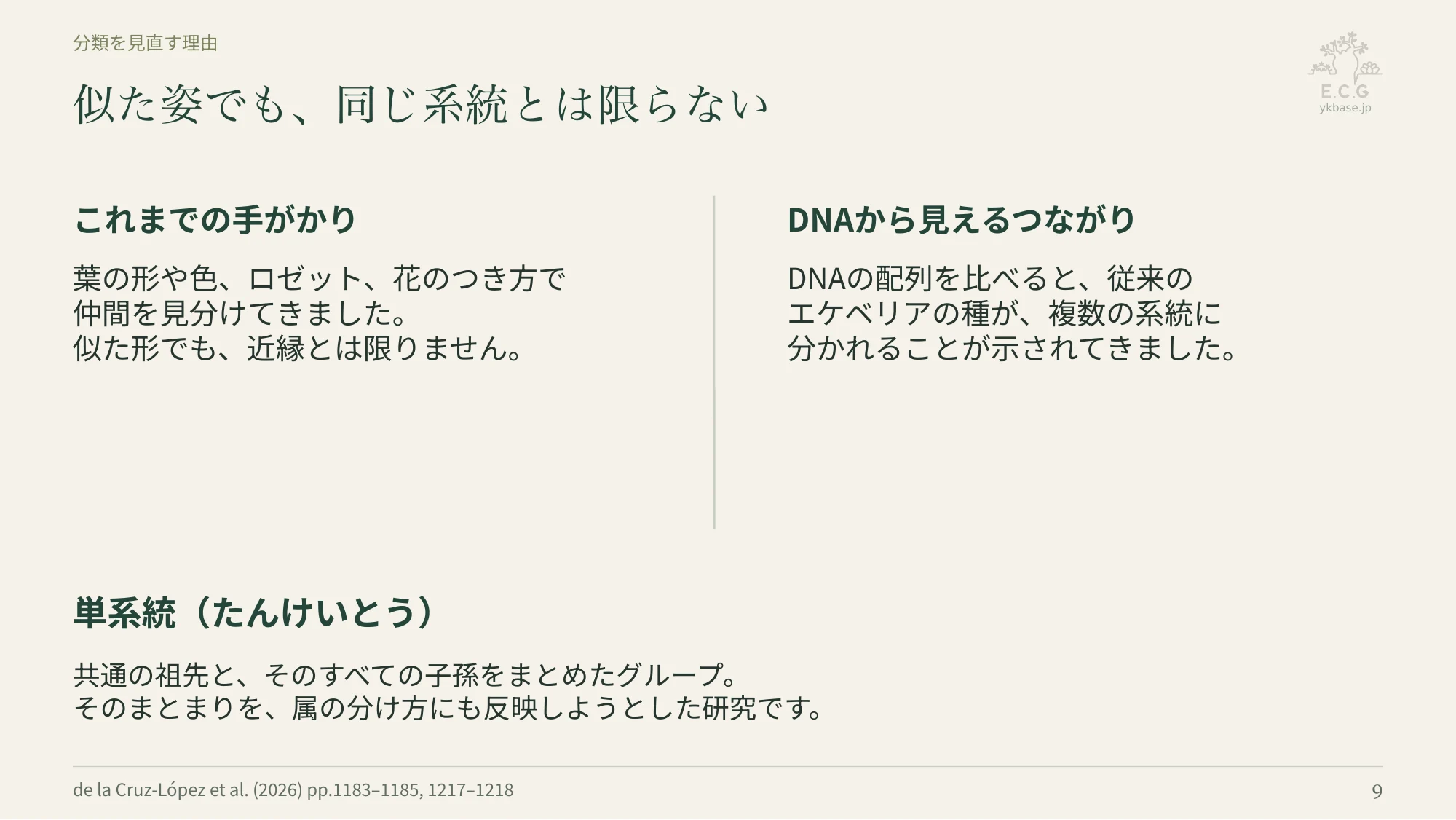 9ページ:似た姿でも、同じ系統とは限らない(日本語)