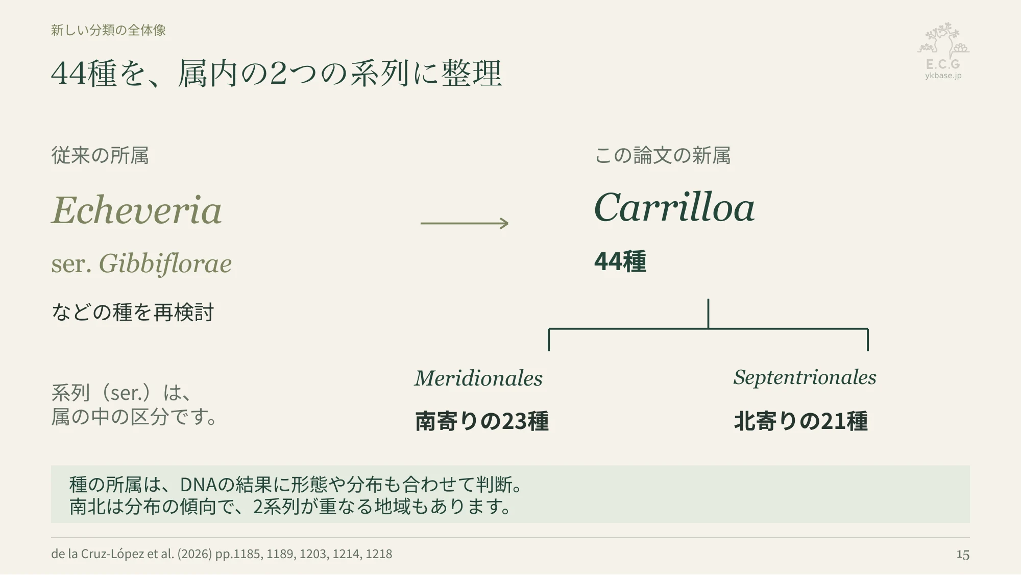 15ページ:44種を、属内の2つの系列に整理(日本語)