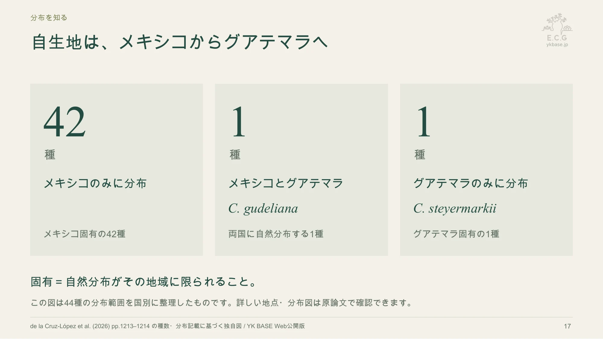 17ページ:自生地は、メキシコからグアテマラへ(日本語)