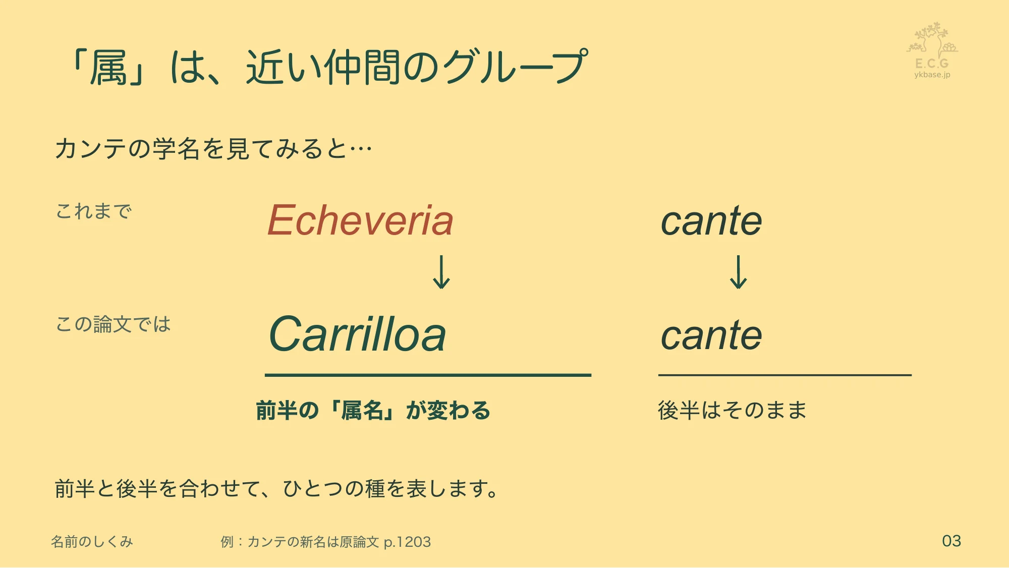 3ページ:「属」は、近い仲間のグループ(日本語)