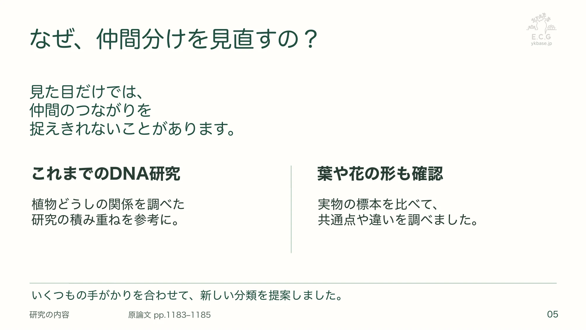 5ページ:なぜ、仲間分けを見直すの?(日本語)