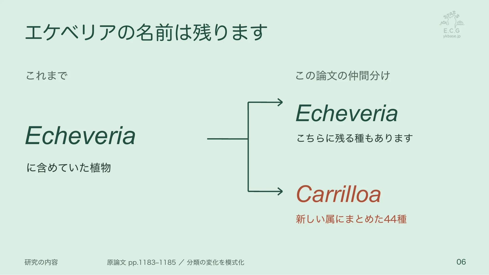 6ページ:エケベリアの名前は残ります(日本語)