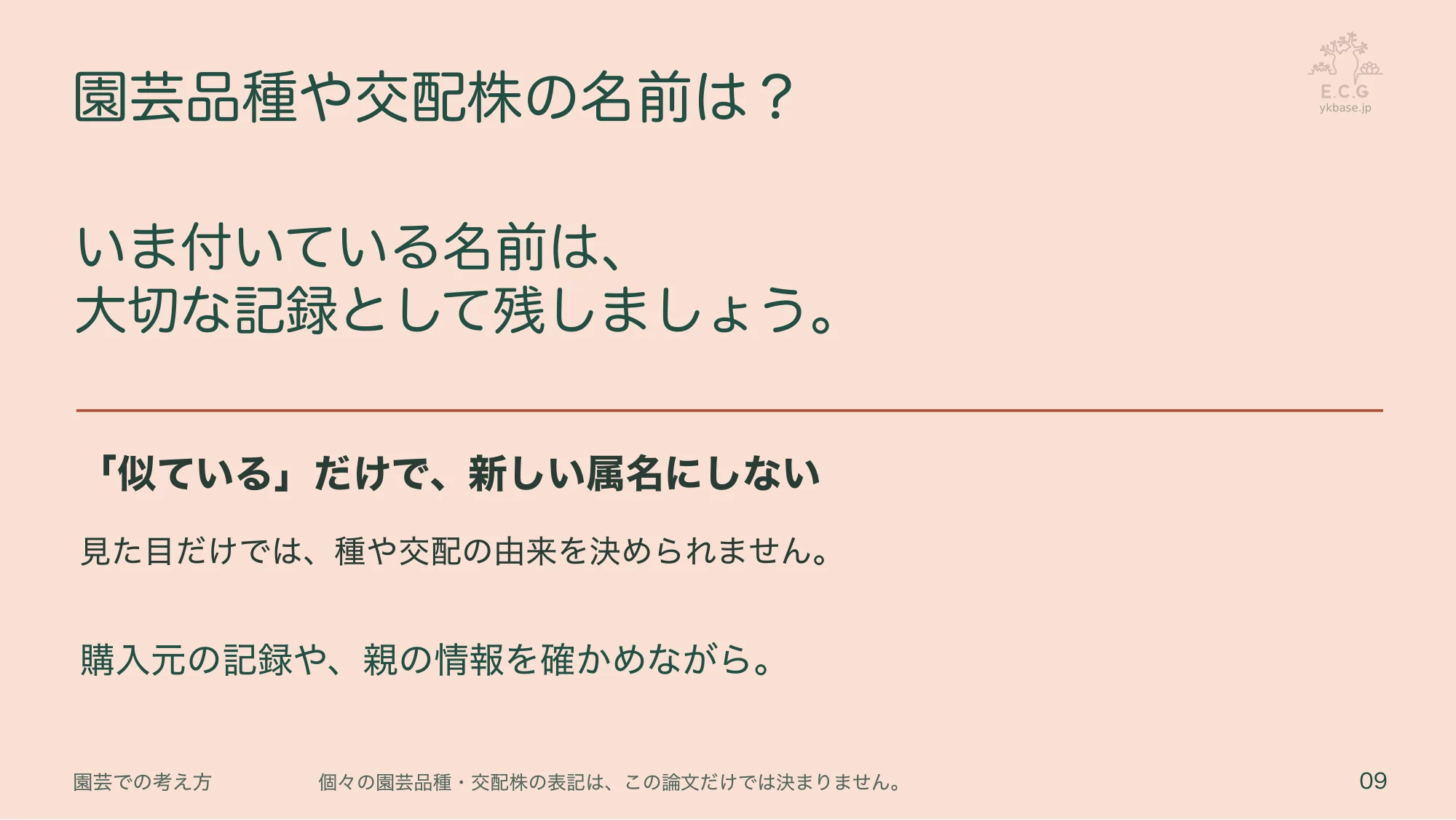 9ページ:園芸品種や交配株の名前は?(日本語)
