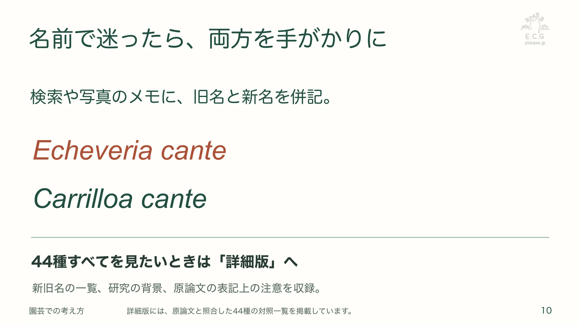10ページ:名前で迷ったら、両方を手がかりに(日本語)