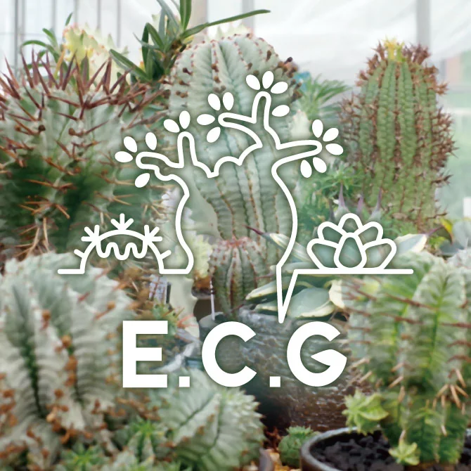 E.C.G Instagram icon