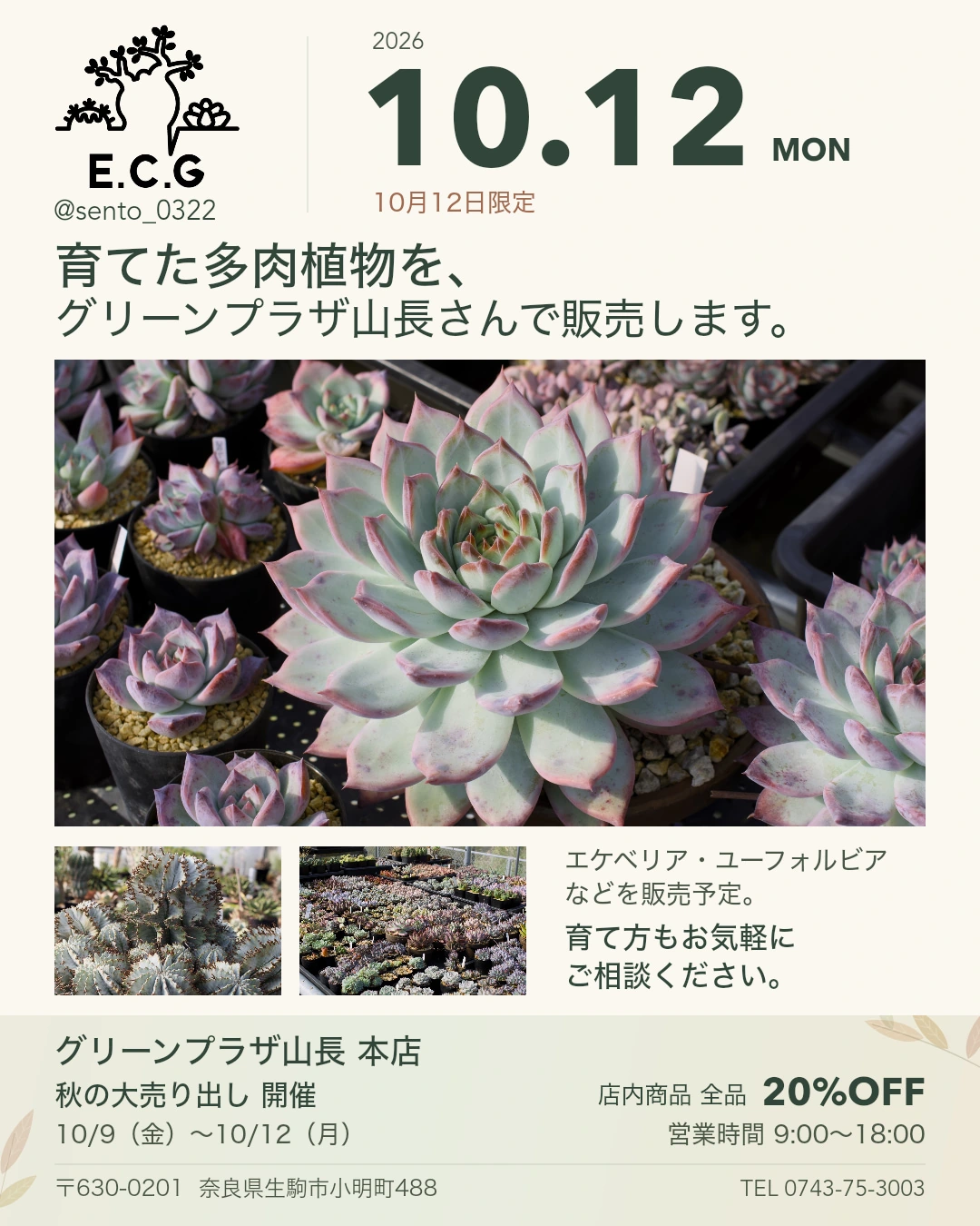 2026年10月12日、グリーンプラザ山長 本店でのE.C.G出店案内。エケベリアやユーフォルビアの写真、販売予定と育て方相談の案内。