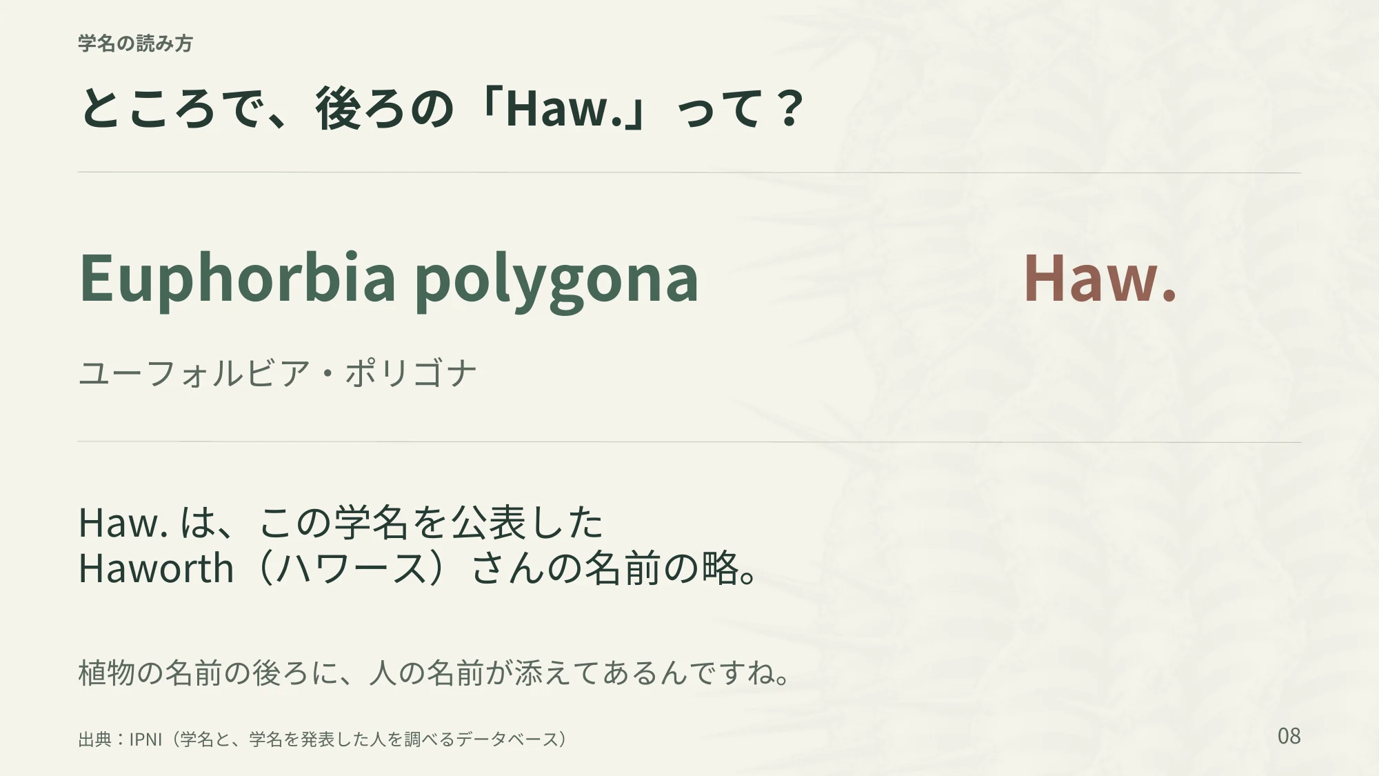 8ページ：後ろの「Haw.」って？（日本語）
