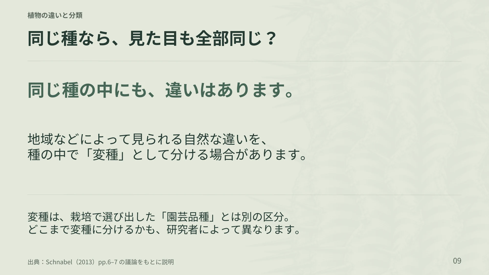 9ページ：同じ種なら、見た目も全部同じ？（日本語）