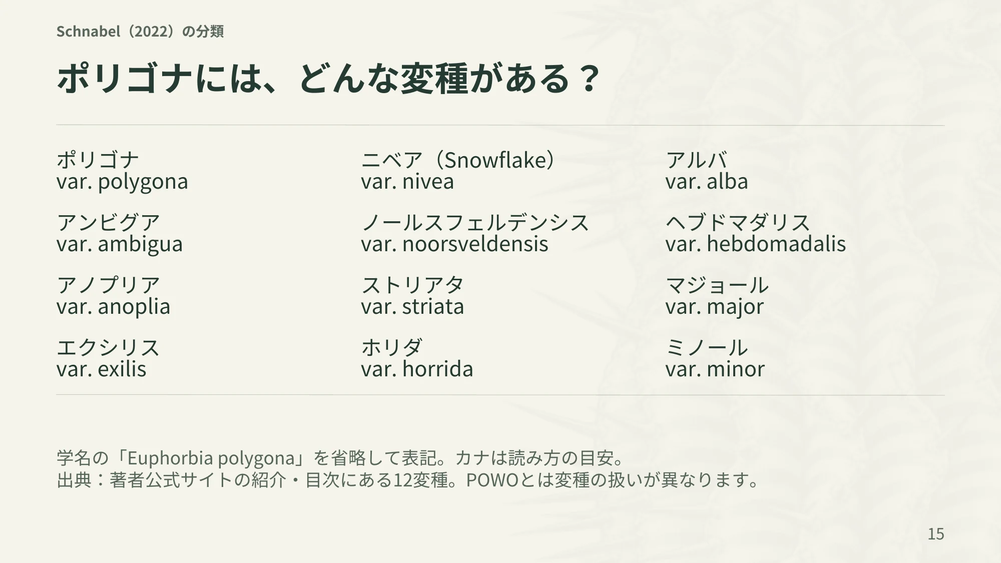 15ページ:ポリゴナには、どんな変種がある?(日本語)